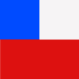 Serie Puro Chile: Cuadro Marraqueta "Bandera Chilena"